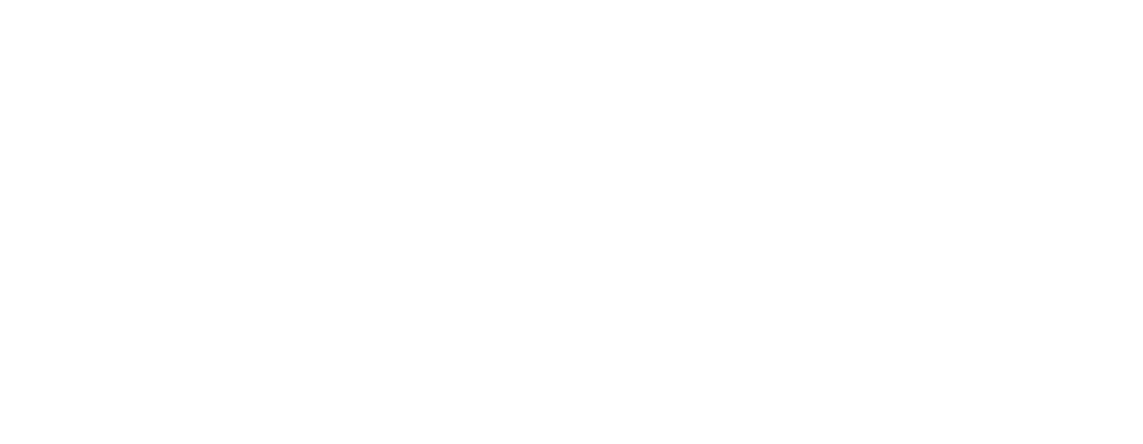 Levels Safeguarding